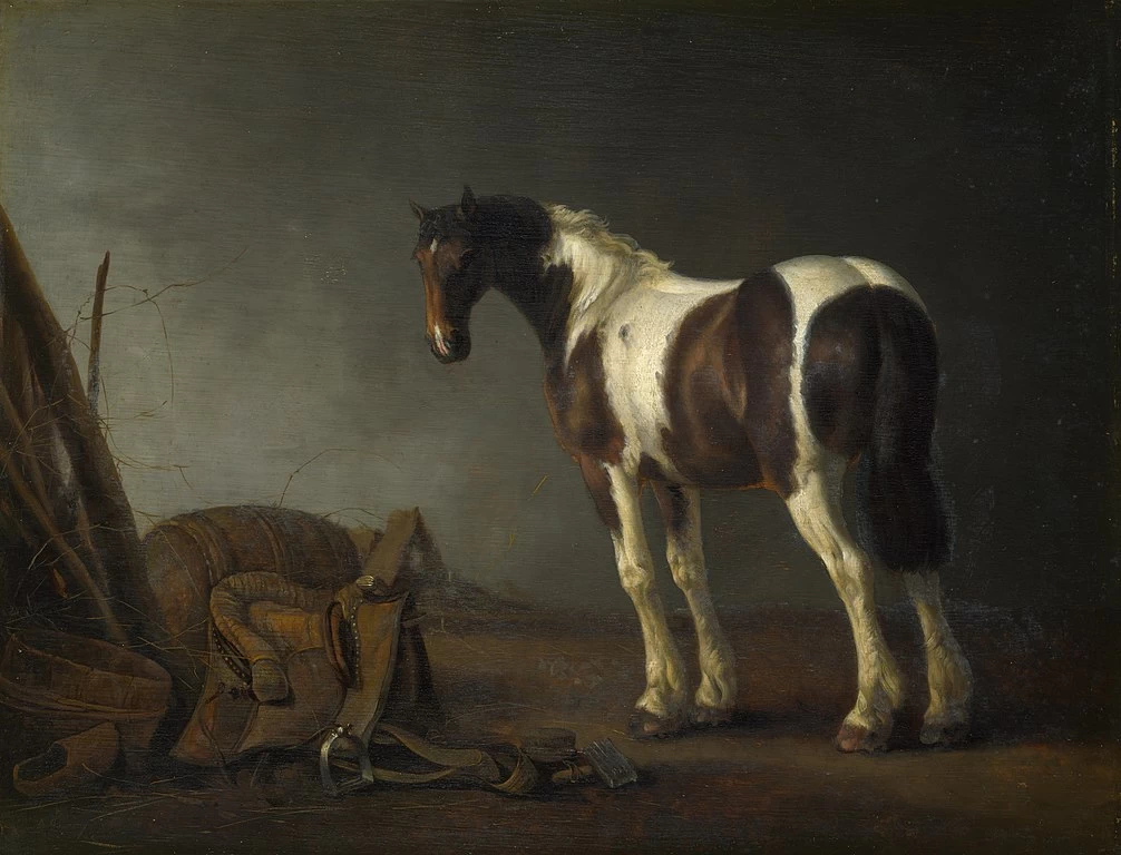 Cavallo con sella - National Gallery